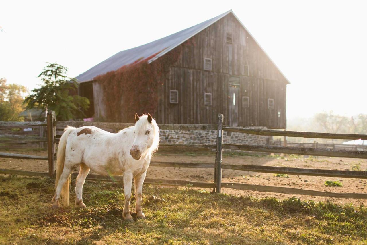 Gettysburg Battlefield Bed & Breakfast Inn Экстерьер фото